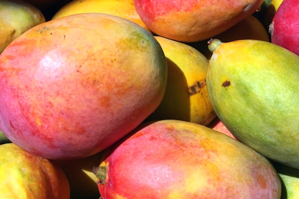 Fresh Indian Mangoes